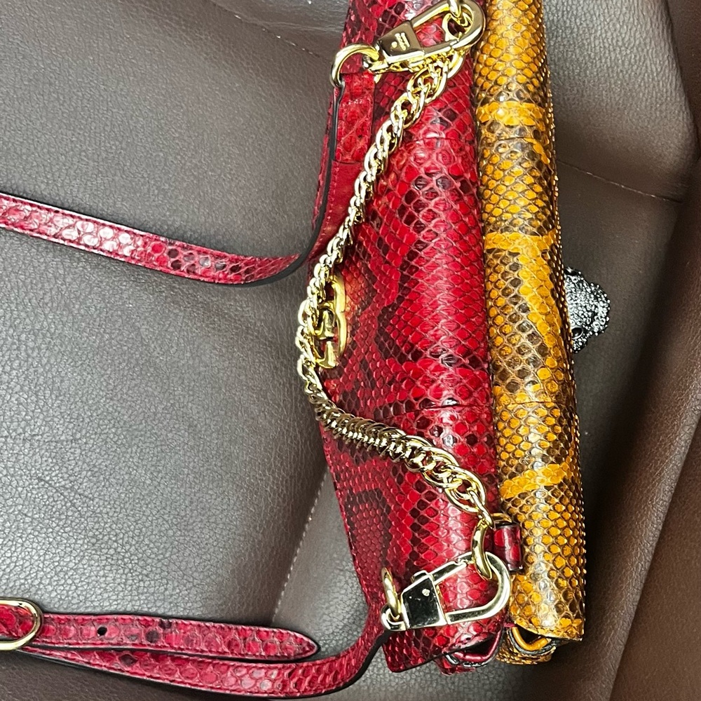 Gucci Thiara Python Clutch with Tiger Head Embellishment - Picture 11 of 13
